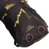 Alpine Backpack